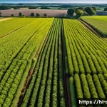 농업기술 관련 자격증 추가 취득 - Here are three detailed image generation prompts in English, designed to capture the essence of mode...